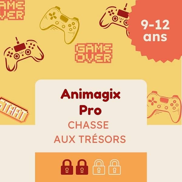 chasse au tresor theme jeu video pro