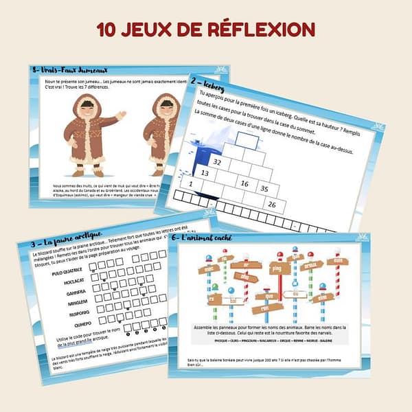 exemples jeux reflexion pole nord