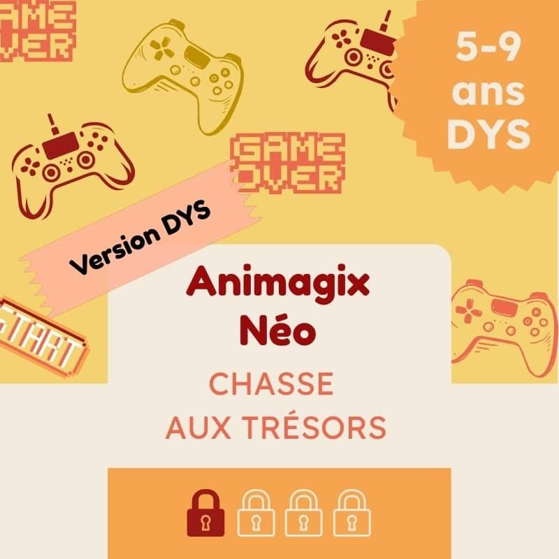 animagix jeu video dys